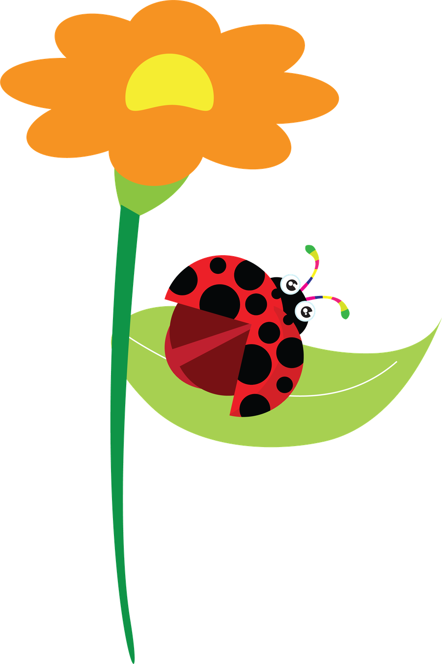Joaninha - Minus - Ladybird Beetle (900x1353)