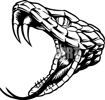 Snake - Rattlesnake Black And White (361x342)