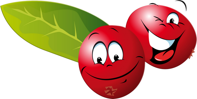 Funny Fruit 13 - Cranberry Cartoon (670x337)