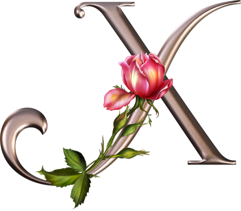 Яндекс - Фотки - Letra N Prateada Com Flores (841x737)