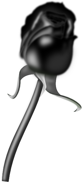 Black Rose Art Transparent (270x596)