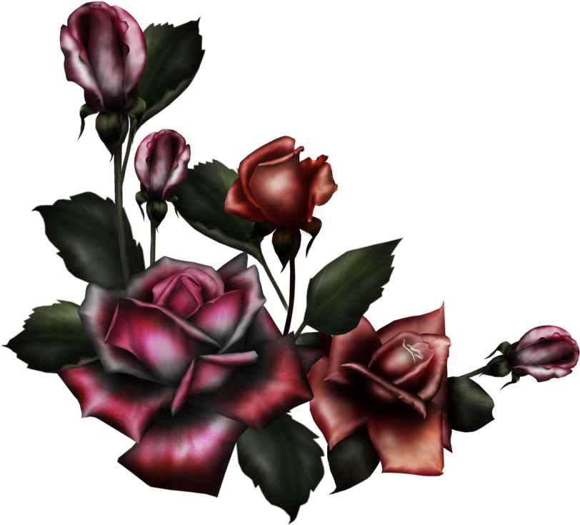 Gothic Rose Png Pic - Gothic Rose Png (900x910)
