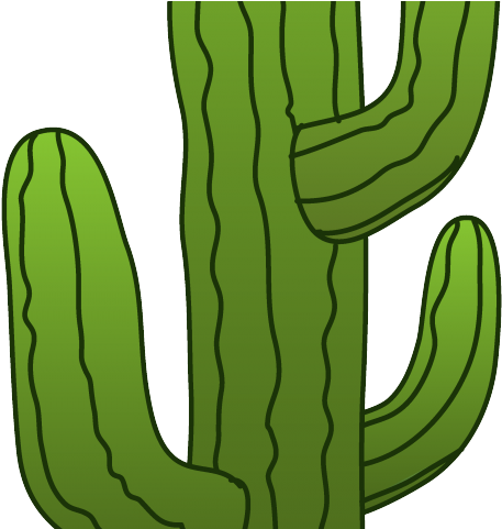 Animated Cactus Cliparts - Cactus Png Cartoon (640x480)