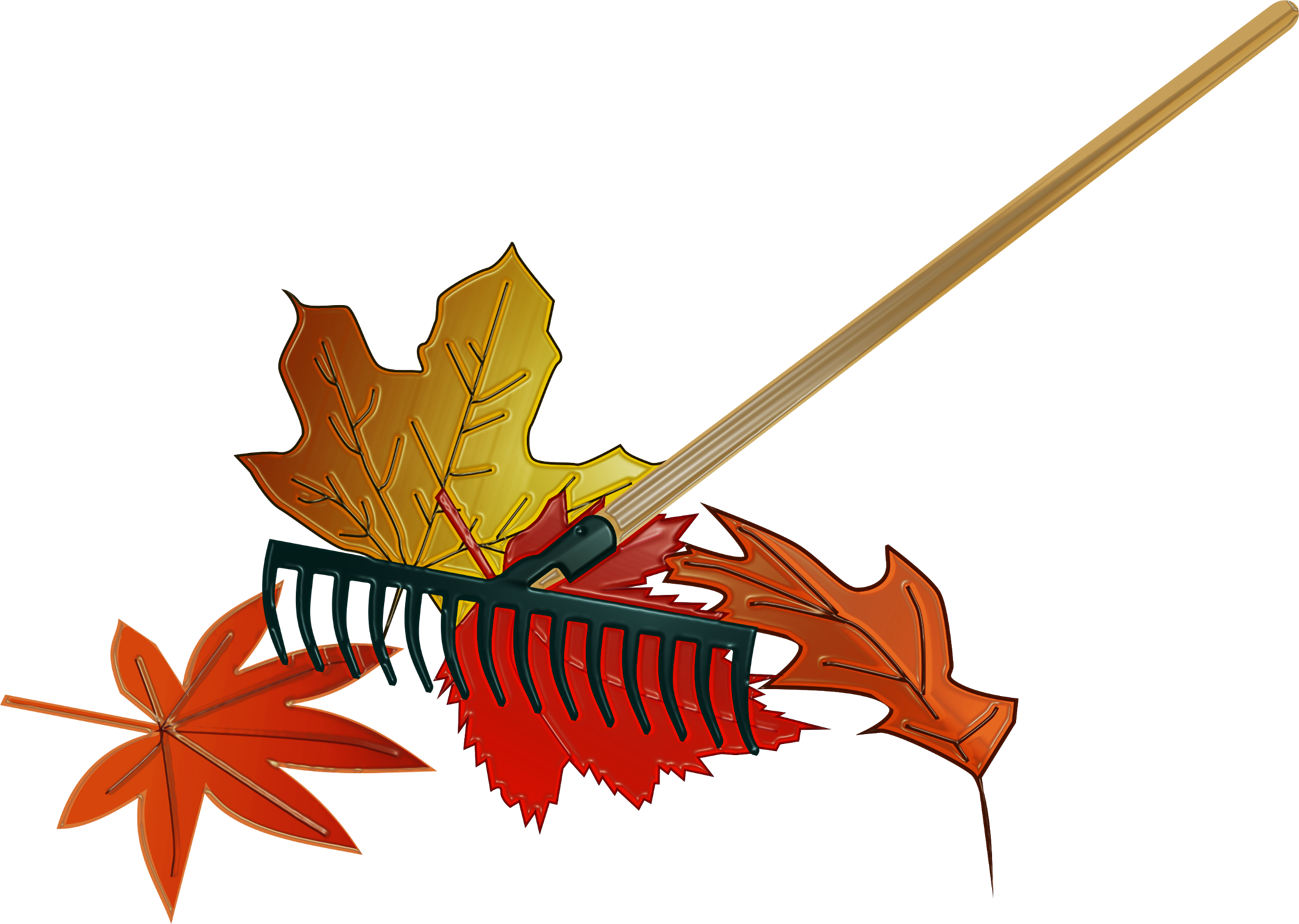November 2017 Arbeitseinsatz - Maple Leaf (1299x924)
