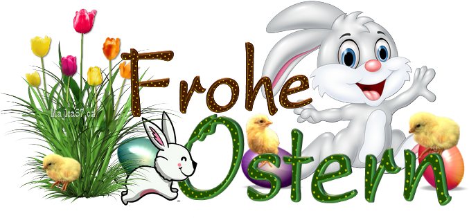 Für Ein Foto - Bunny 5'x7'area Rug (700x344)