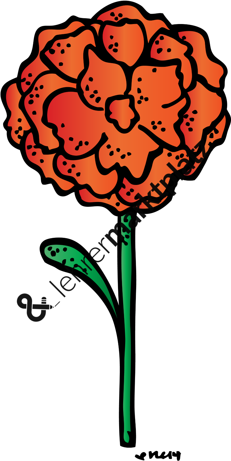 Blumen Biologie, Daz / Daf, Deutsch, Englisch, Lebenskunde, - Clip Art (800x1622)