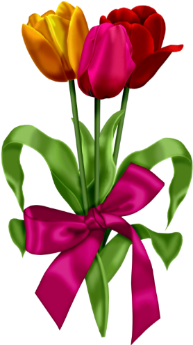 Free Clipart Tulips (280x501)