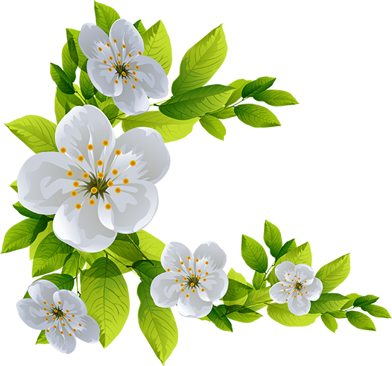 Tubes Arbres / Arbustes / Feuillages - Tree (555x519)