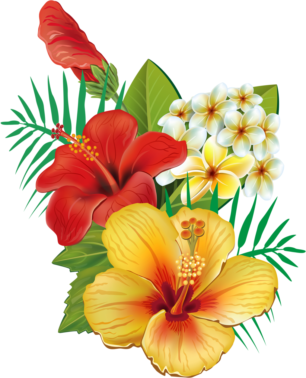 Erkunde Dissen, Exotische Blumen Und Noch Mehr - Cafepress Tropical Hibiscus Tile Coaster (1073x1280)