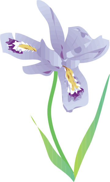 Iris Flower Clipart - Iris Clipart (360x592)