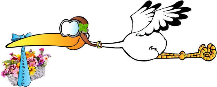 Storch Mit Baby, Storch Zur Geburt Und Baby Klapperstorch - Lecco (800x385)