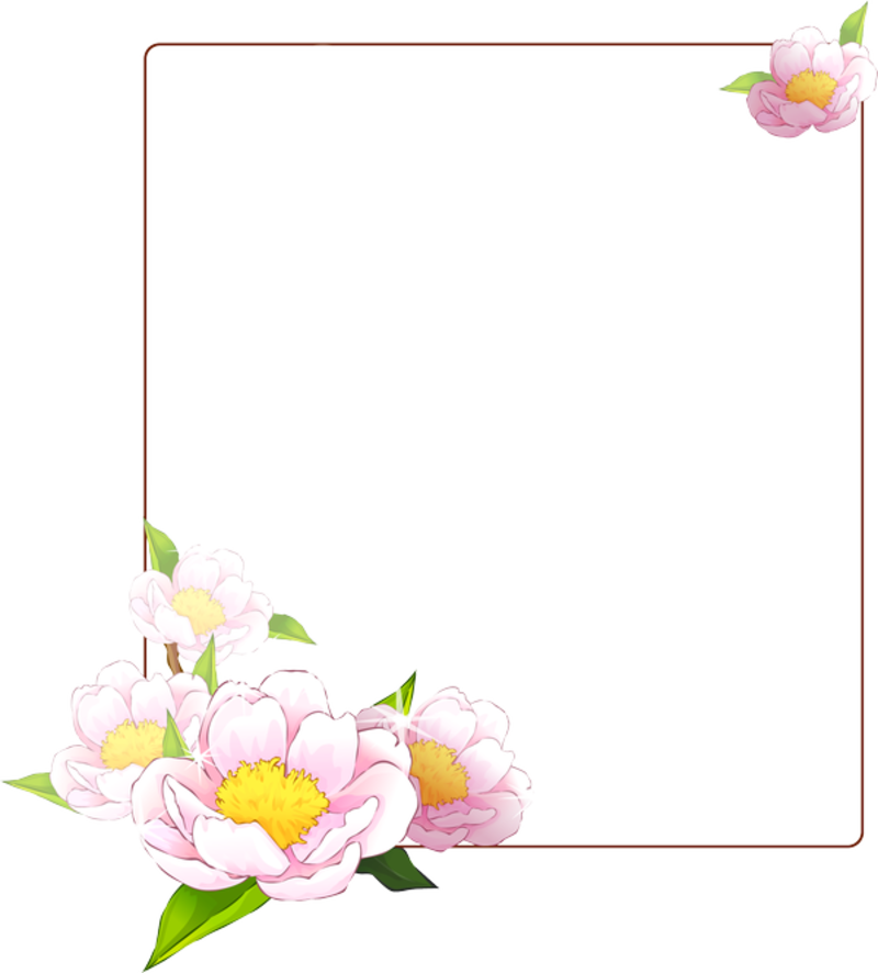 Papiers Montages Et Parchemins Tableau Verre Transparent - Peonymothorchid.png Shower Curtain (800x886)