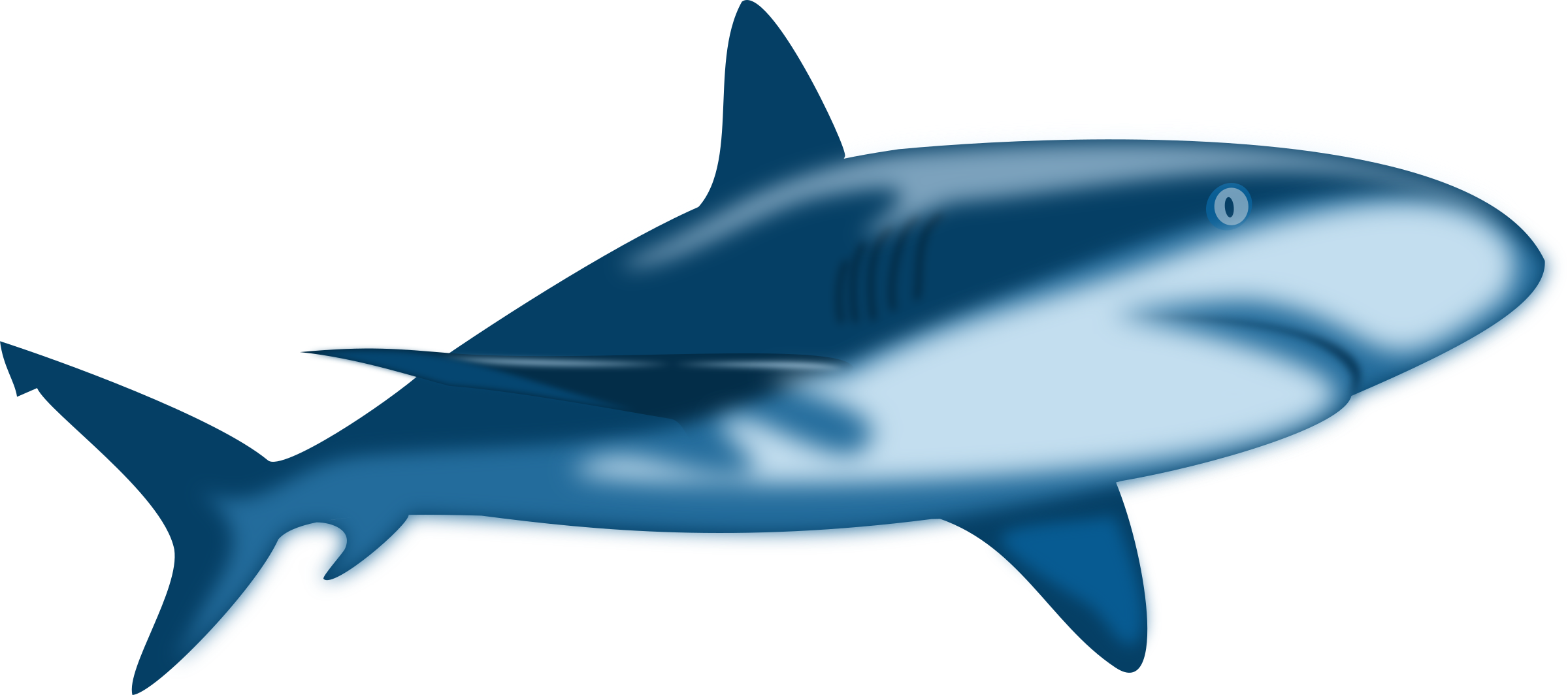 Free Shark Clipart - Cartoon Great White Shark (2400x1064)