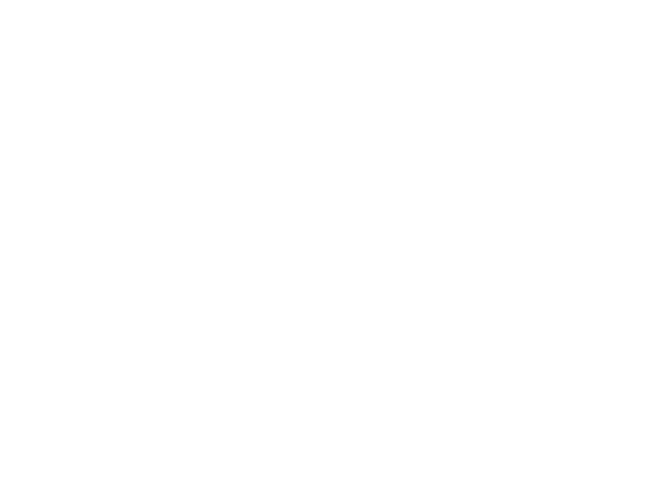Wandtattoo Fußball Schuss - Coach (600x450)