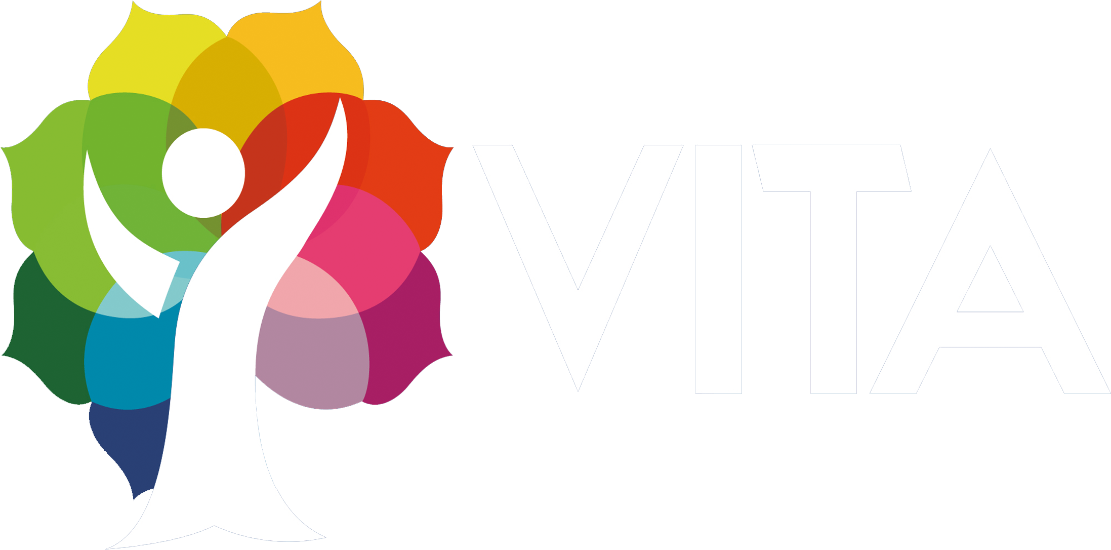 Introducing Vita Term Life Insurance - Logo For Insurance Company (2400x1550)