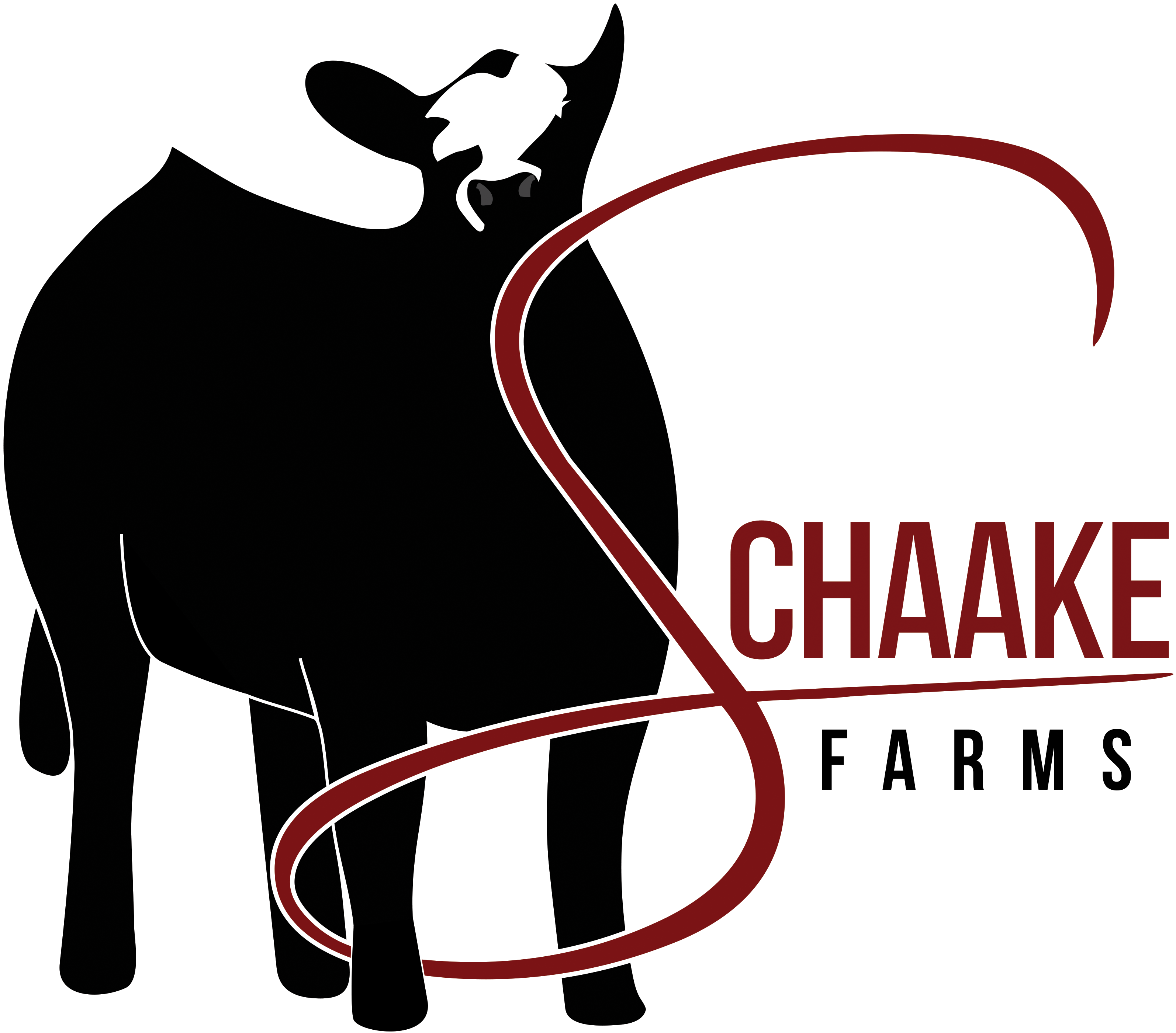 Schaake Farms 7th Annual Heritage Sale - Permalink (3251x2888)