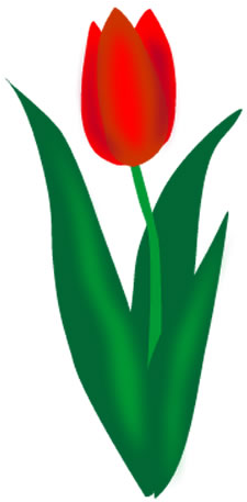 Tulip Clip Art - Spring Flowers Clip Art (280x560)