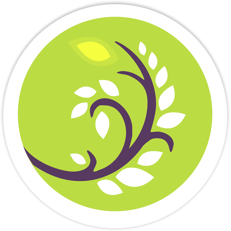 Leadership Challenge - Leadership (800x800)