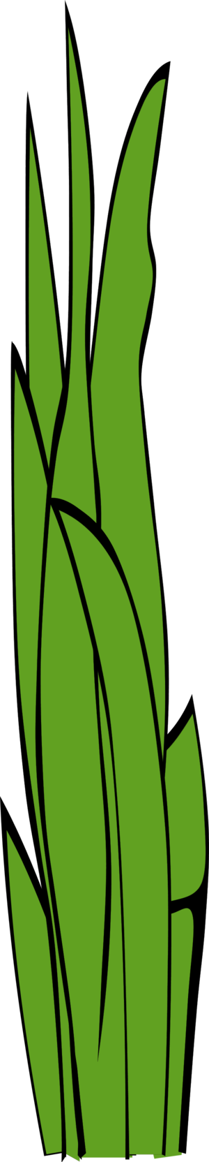 Grass Blades Clipart - Cartoon Blade Of Grass (433x2400)