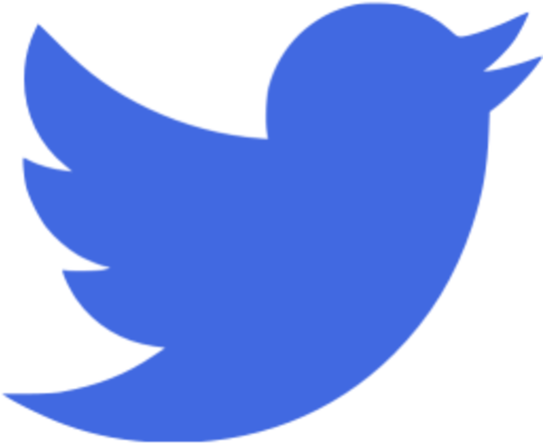 Twitter Png Image - Yellow Twitter Logo Png (600x600)