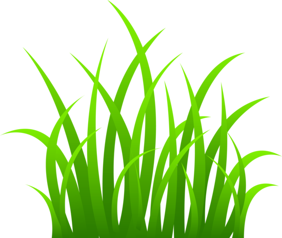 Grass Clipart Png (550x464)