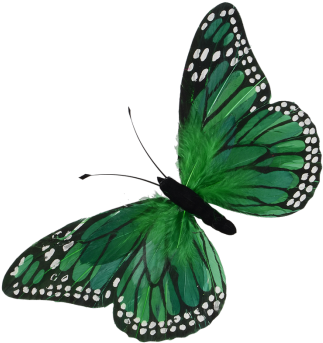 Schmetterling Aus Federn Grün 76 X 40 Cm - Schmetterling Grün (350x350)