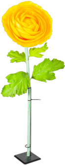 Ranunculus Xl Gelb H 125 Cm, Ø 38 Cm - Centimetre (350x350)