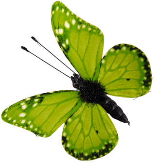 Schmetterlinge Magnet Und Clip Grün 6 Stück, 5 Cm - Green (350x350)