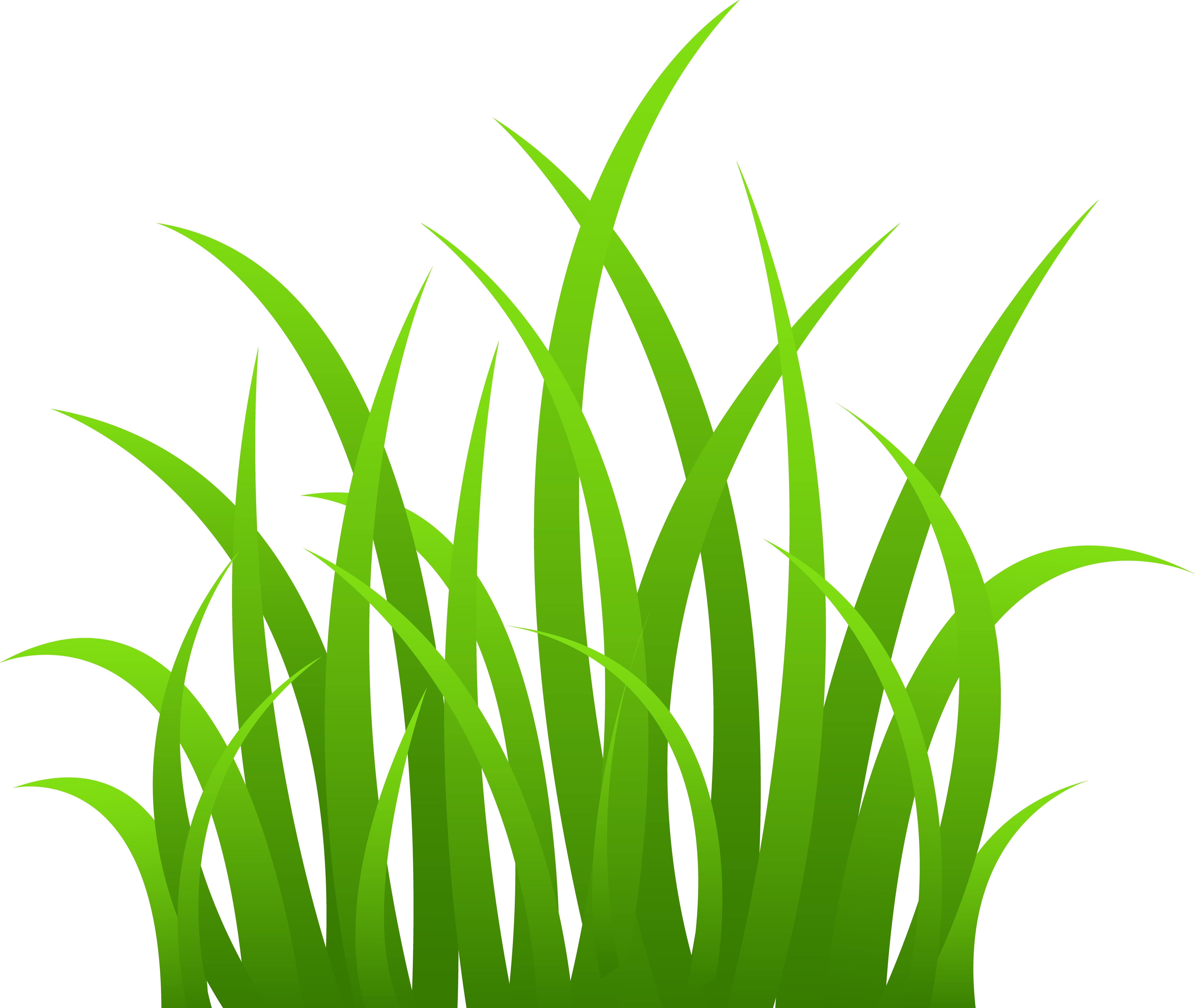 Grass Border Clipart - Signmission Please Stay Off Grass Thank You Sign 12" (5871x4953)