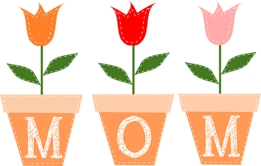 Tulpen, Blumen, Töpfe, Blätter, Frühling - Clip Art For Mother's Day (532x340)