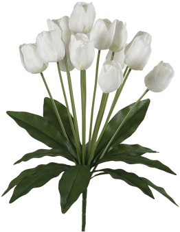 Tulpenstrauß X14 Groß Weiss Ø 36 X H 50 Cm - Centimetre (350x350)