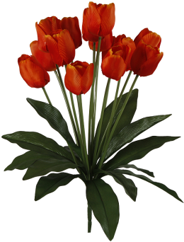 Tulpenstrauß X14 Groß Orange Ø 36 X H 50 Cm - Centimetre (350x350)
