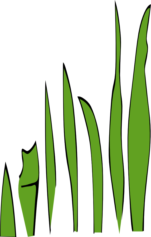 Cartoon Pictures Of Grass - Gambar Kartun Rumput Laut (635x1000)