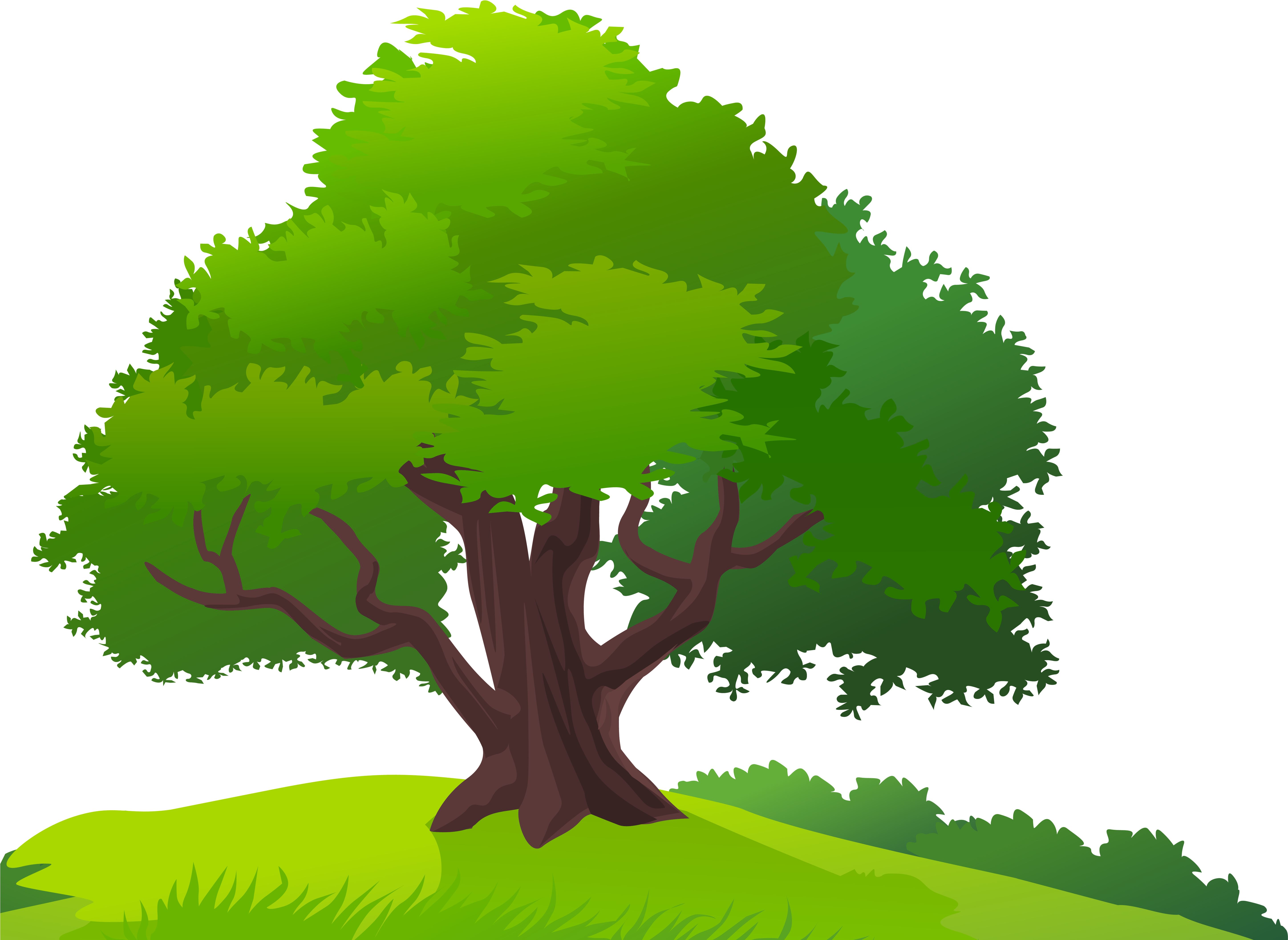 Clip Art Of Tree With Grass Clipart Pencil And In Color Tree Clip Art