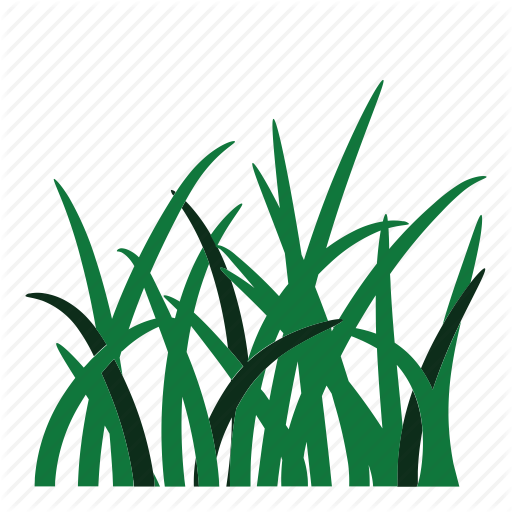 Weed Clipart Grass Root - Grass Icon (512x512)