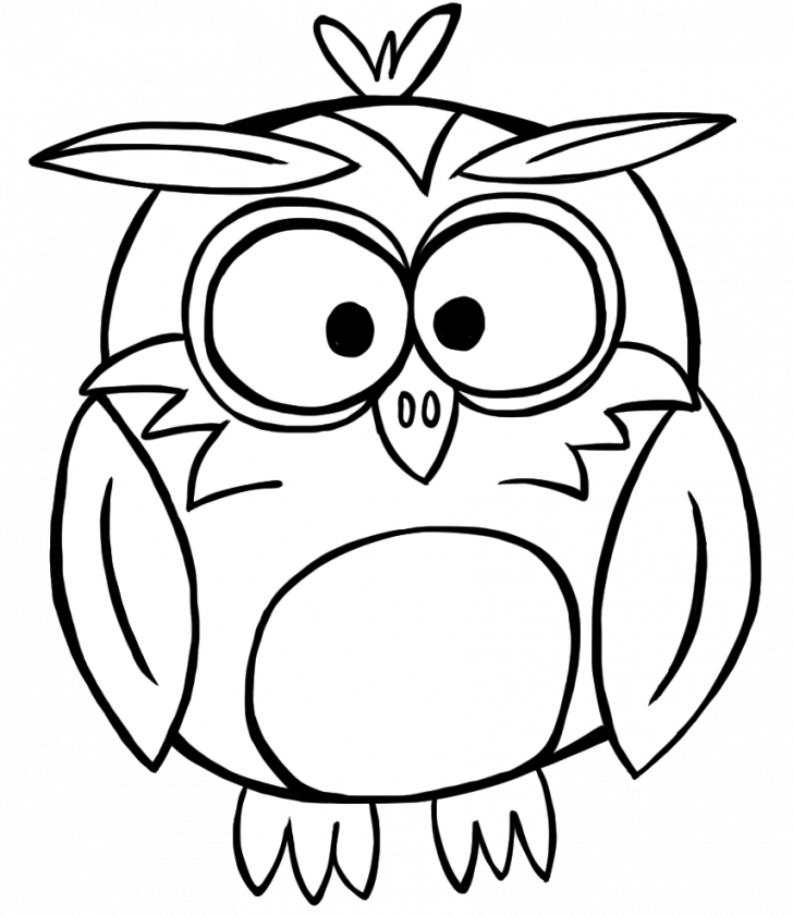 Owl Outline Cliparts - Fall Clip Art Black And White (728x841)