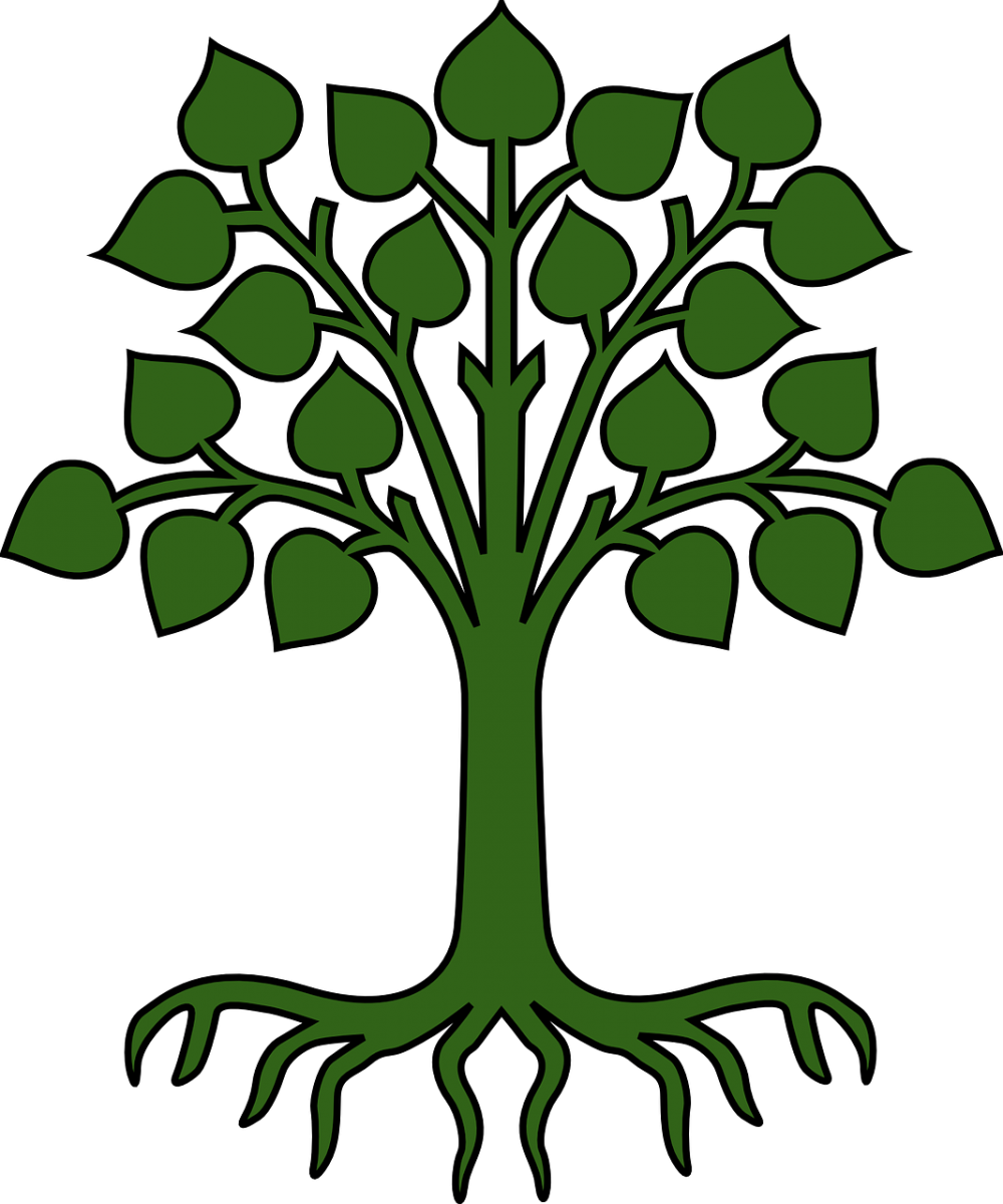 Cartoon Tree With Roots (1000x1200)
