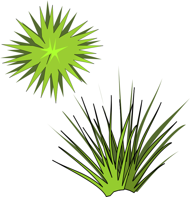 Clipart - Plant-05 - Spiky Plant Vector (2400x2400)