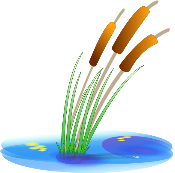 Pond Clip Art - Quenouille Clipart (900x860)