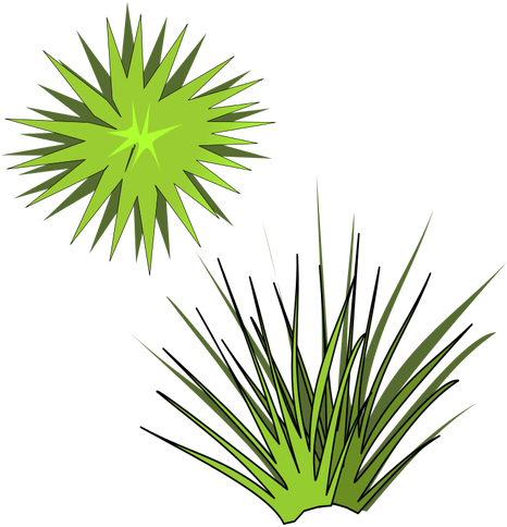 4843 Clip Art Green Bean Plant Public Domain Vectors - Spiky Plant Vector (500x500)