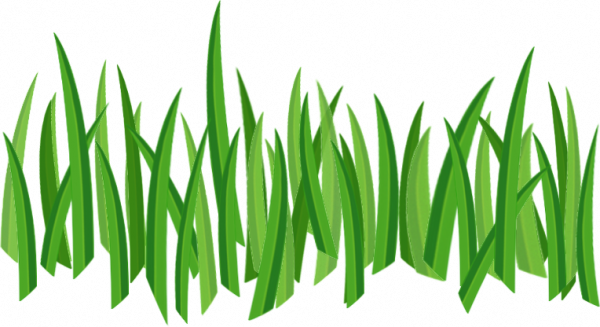 Grass Png Image, Green Picture - Grass Png Texture (600x327)