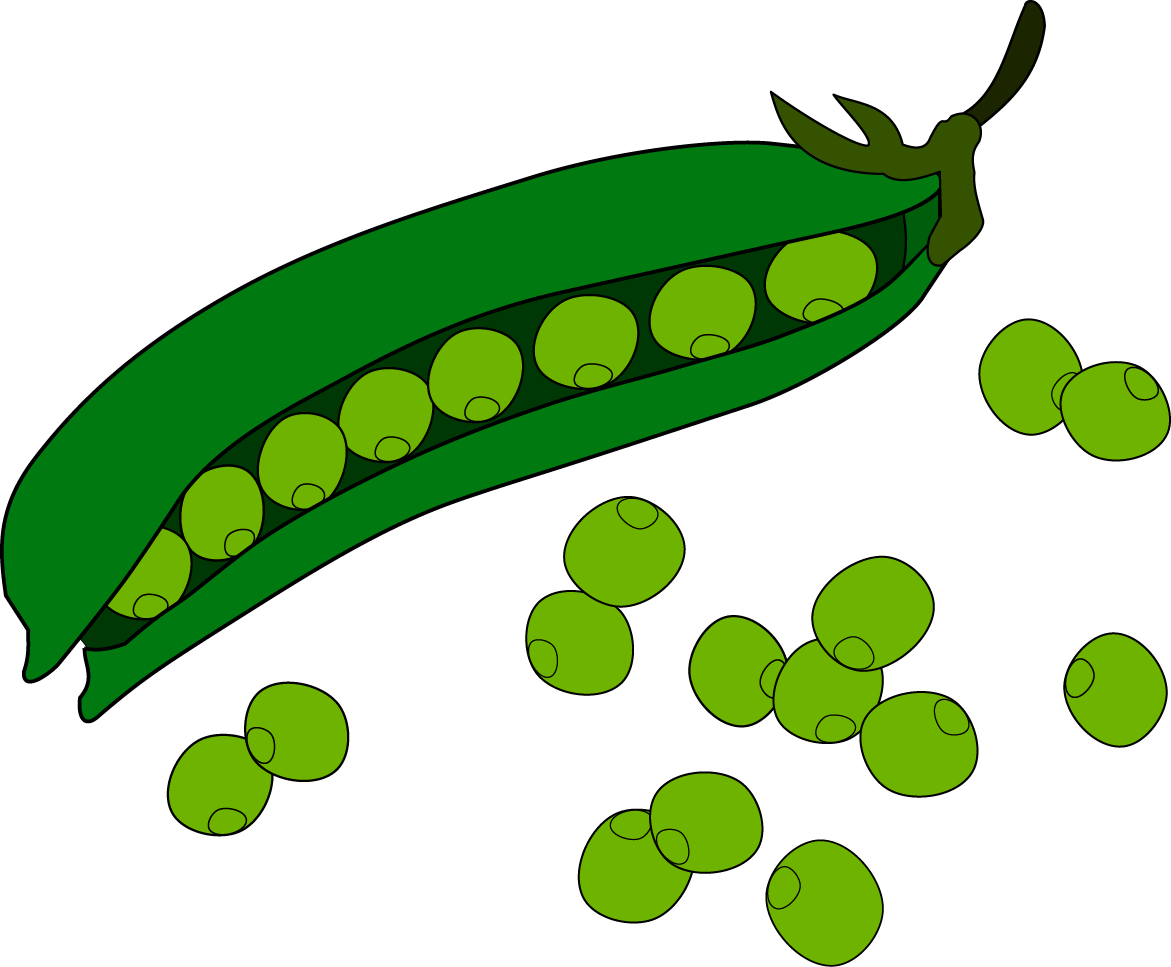 Pea Fruit Clip Art - Peas Vector Png (1171x967)