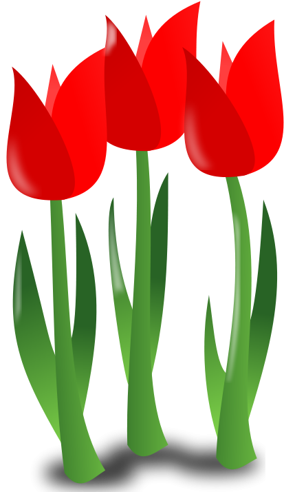 Mothers Day Clipart - Mothers Day Clipart Flower (800x800)