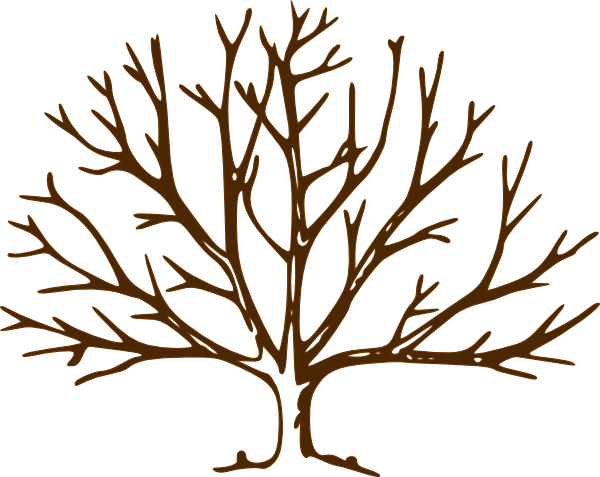 Bare Tree Coloring Page - Bare Tree (600x477)