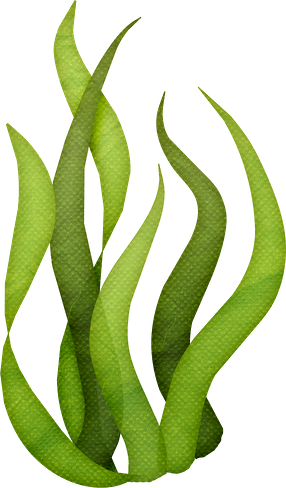 Tall Grass Silhouette Clip Art - Algas De Bob Esponja (286x488)
