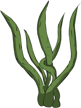 Seaweed Clipart Transparent Background Pencil And In - Seaweed Transparent Animation (325x400)