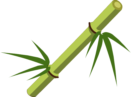 Bamboo Stick Png Transparent Image - Bamboo Png (526x389)