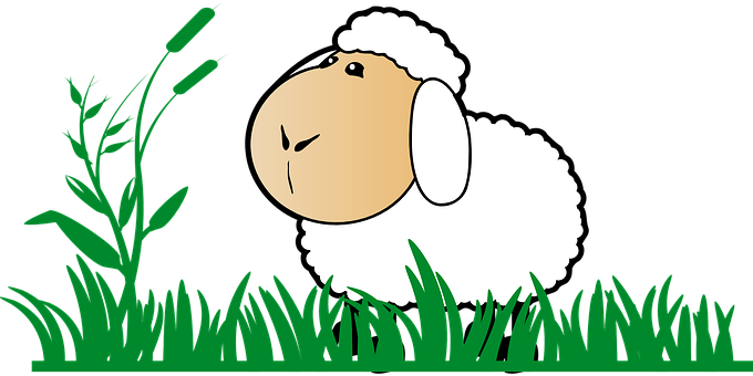 Grass Sheep Stand Watch Cartoon Green Whit - Land Where Prophets Preached The Gospels [book] (680x340)