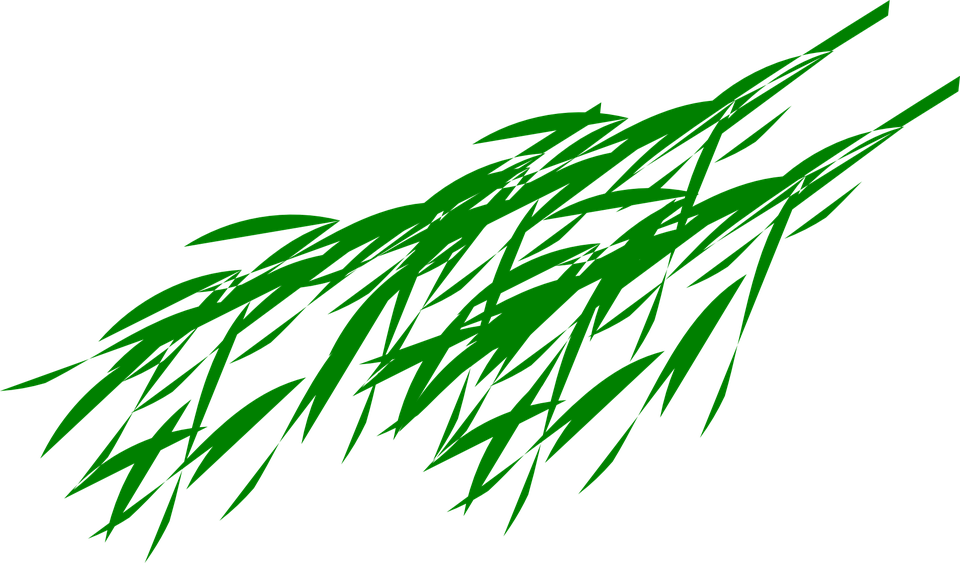 Bamboo Leaf Png Transparent Image - Panda Bear Eating Bamboo (960x563)