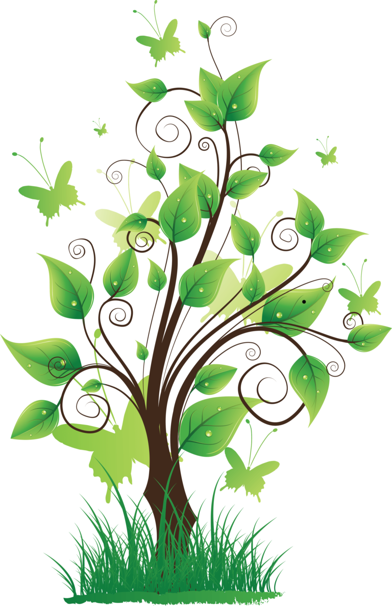 Tree Png Drawing - Png Format Images Nature (768x1186)